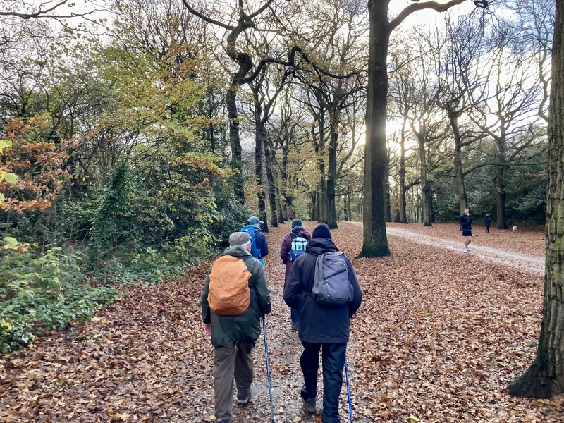 Members of the group walk on a carpet of brown leaves with bare trees overhead