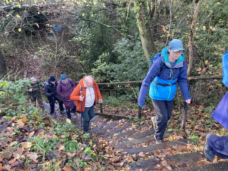 The group, most well-dressed for winter, climb up winding steps up a steep woodland hill