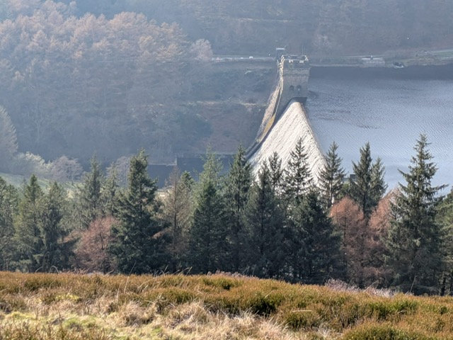Water flowing over Derwent Dam seen behind a row of trees