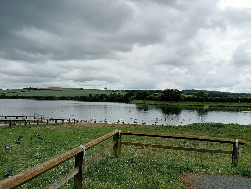 A view of the reservoir under a cloudy sky with lots of birds on the grass and water