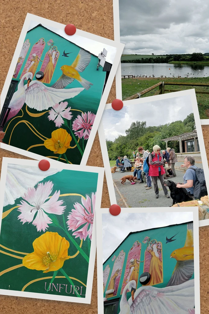 A postcard-style collage based on the previous three photos and consisting of five postcards pinned to a board