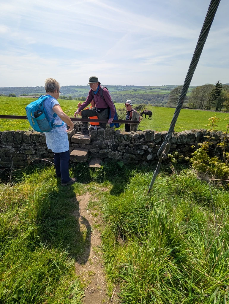 A group-member carefully traverses a stile over a stone wall