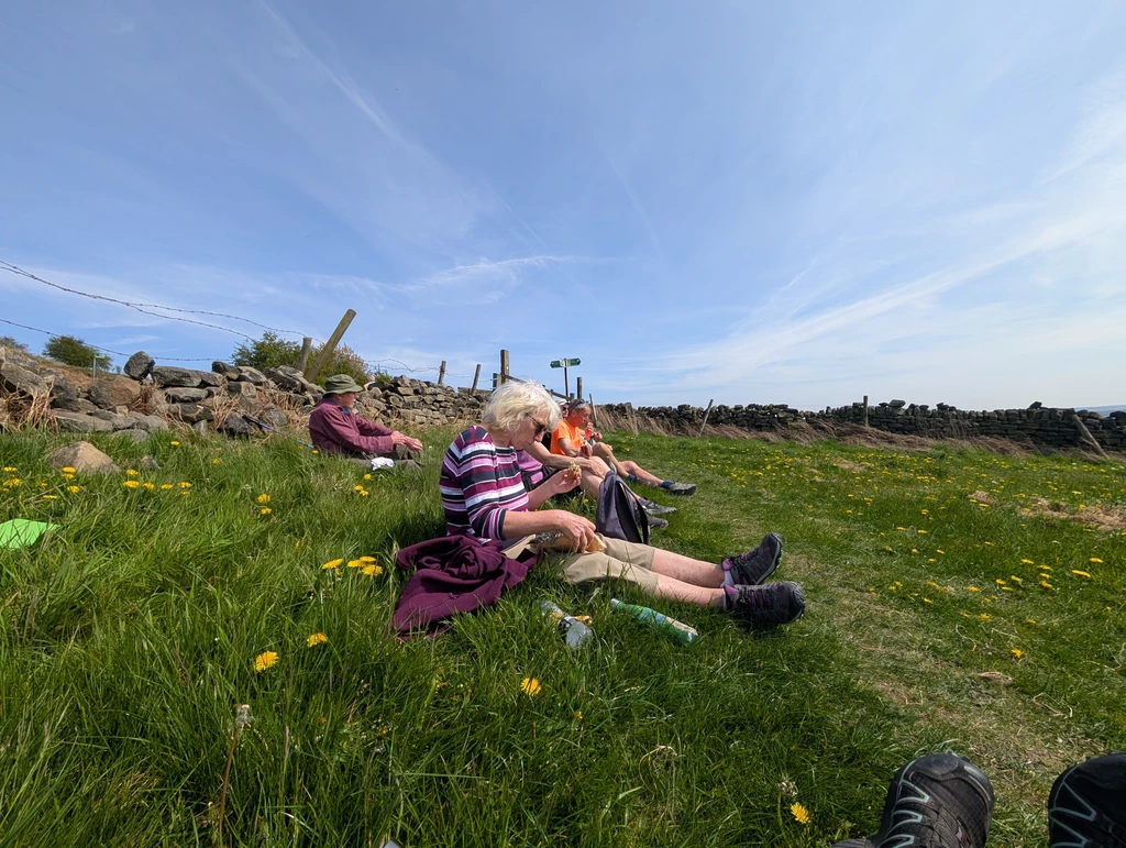 Six members of the group sit back on a shallow incline near a stone wall